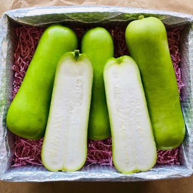 Chinese Long Squash 8 lb box